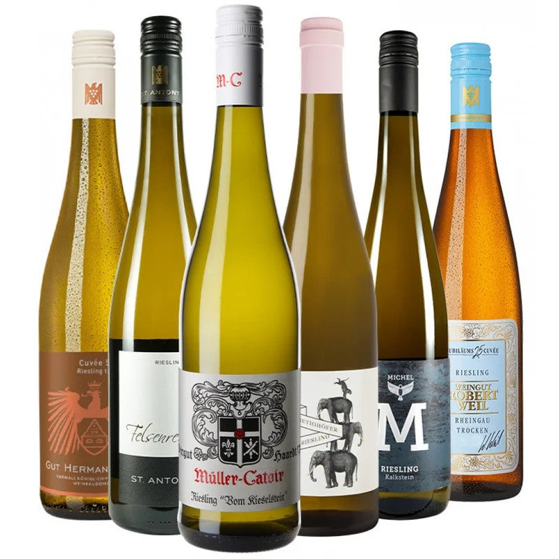 2017RieslingVerkostungssiegerPaket–JetztnurbeiWirWinzer