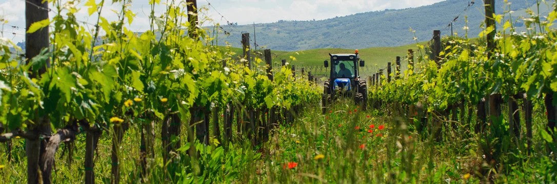 BioweinundKupfer–pro-biowein.de