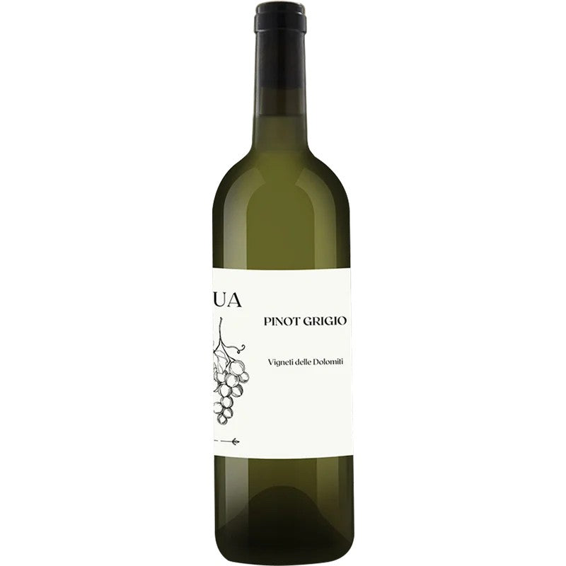 TravinoSpecialValsugana2023PinotGrigioVignetidelleDolomitiIGP