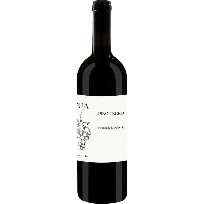 TravinoSpecialValsugana2023PinotNeroVignetidelleDolomitiIGP