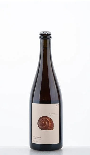 WeinbergschneckeRose2017–AndreasTscheppeItalienToskana