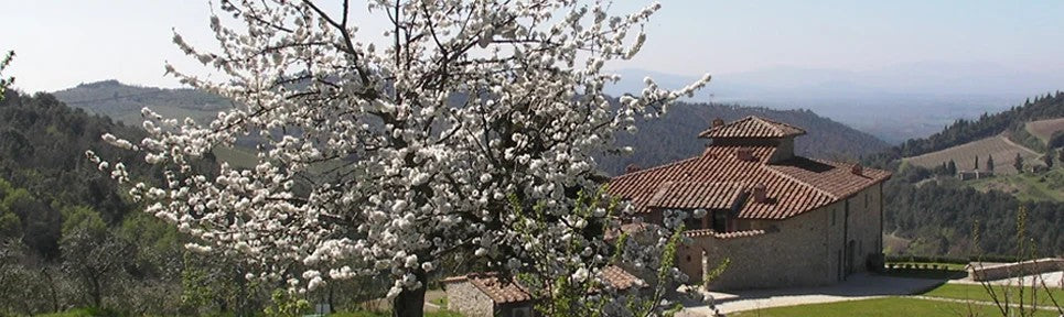 AziendaAgricolaConcadoroToscana–pro-biowein.de