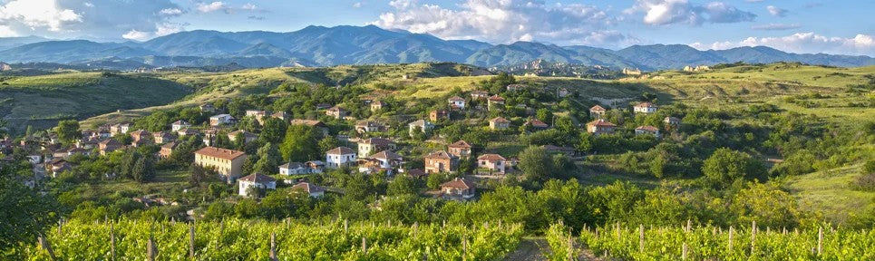BioweinausBulgarien–PRObioWEIN