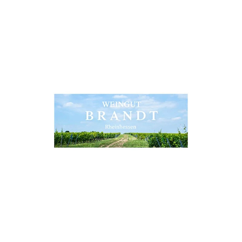 BrandtHesslocherPinotNoirRotweintrocken2016