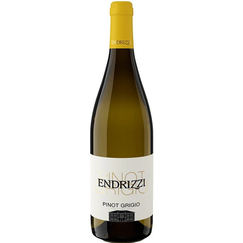 Endrizzi2025PinotGrigioTrentinoDOCtrocken