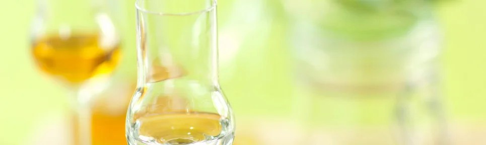 Grappa&Trester–pro-biowein.de