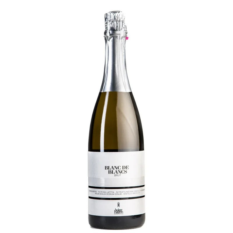 HolgerHagen2019BlancDeBlancstrocken