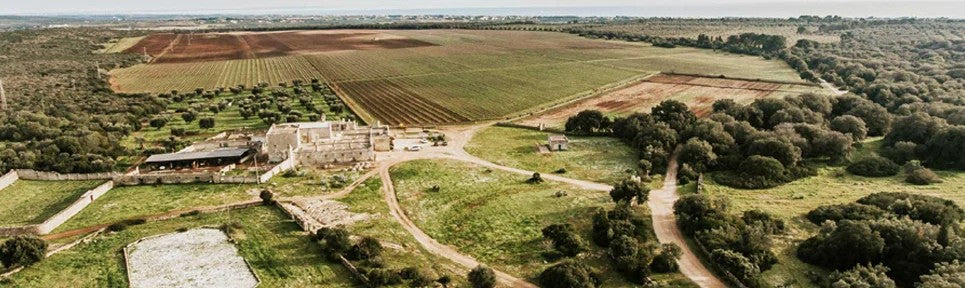 MasseriaCuturiApulien–PRObioWEIN