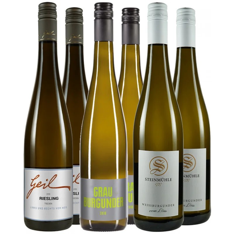 NeuheitenFavoritenimAugust–JetztnurbeiWirWinzer
