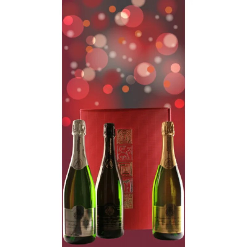 Riesling-Sektpaket–WeingutHeiden