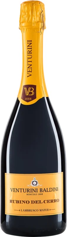 RubinodelCerroReggianoLambruscoDOPSpumanteBrutBaldiniBio–PRObioWEIN