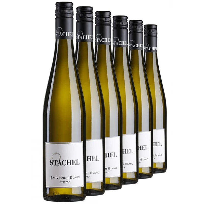 „SauvignonBlanc-Paket“trocken–WeingutErichStachel