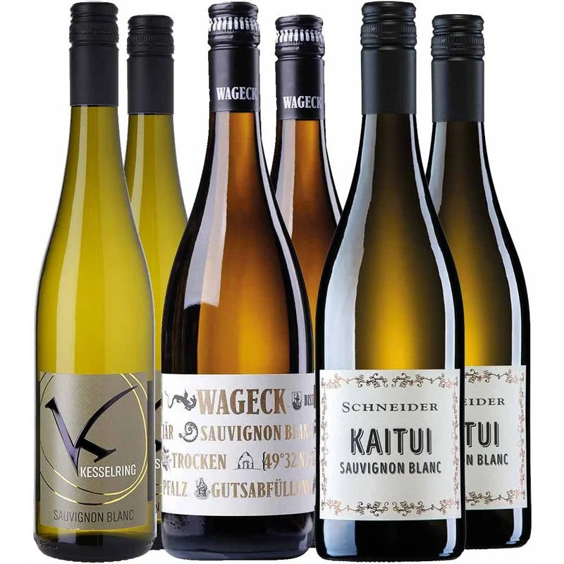 SauvignonBlancPaketPfalzbeiWirWinzerbestellen