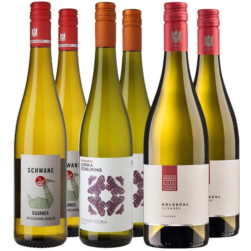SilvanerPremium-PaketbeiWirWinzerbestellen