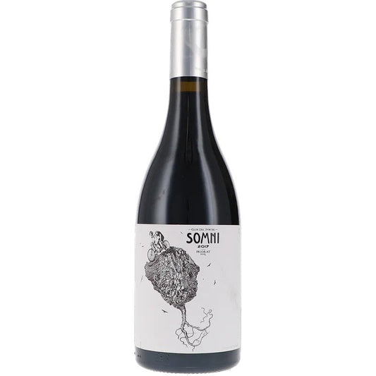 Somni2017Priorat–CarignanSyrah|LebendigeWeine