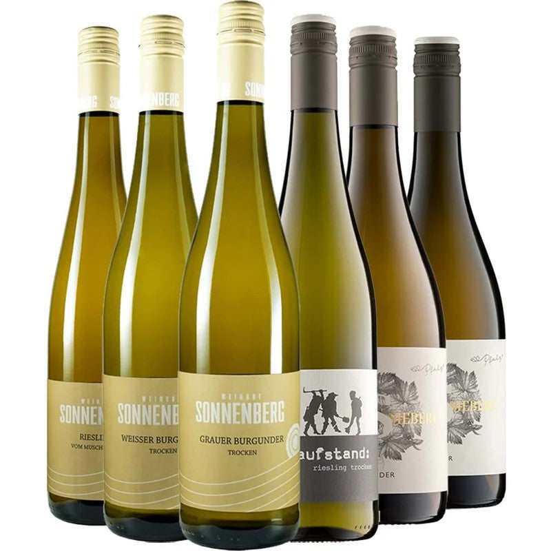 SonnenbergSpeeterPfalzweinEntdecker-Paket