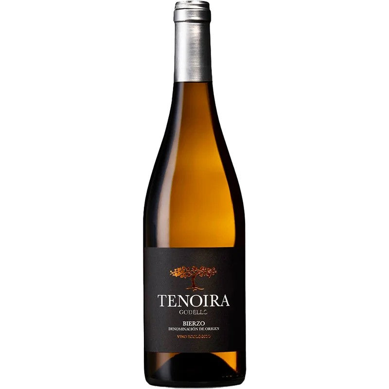 Tenoria2023TenoiraGodelloBierzoDOtrocken