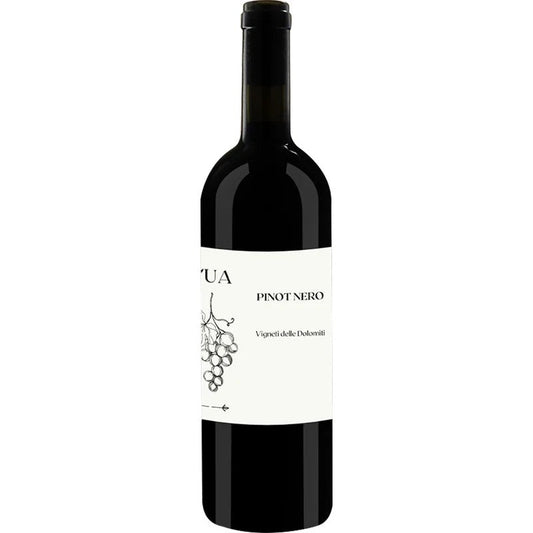 TravinoSpecialValsugana2023PinotNeroVignetidelleDolomitiIGP