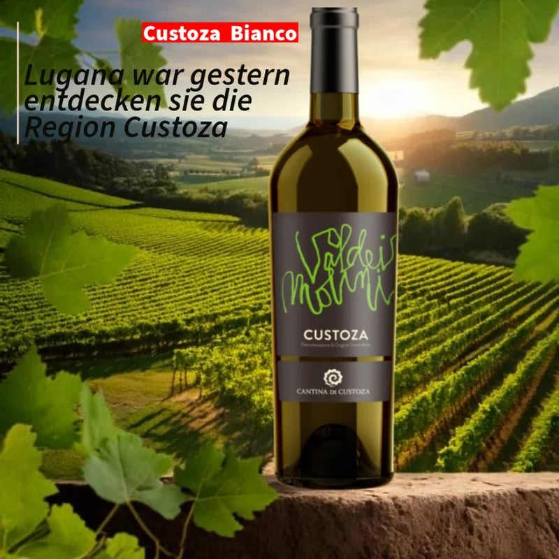 ValdeiMoliniCustoza–CantinadiCustoza–trockenWeisswein2024