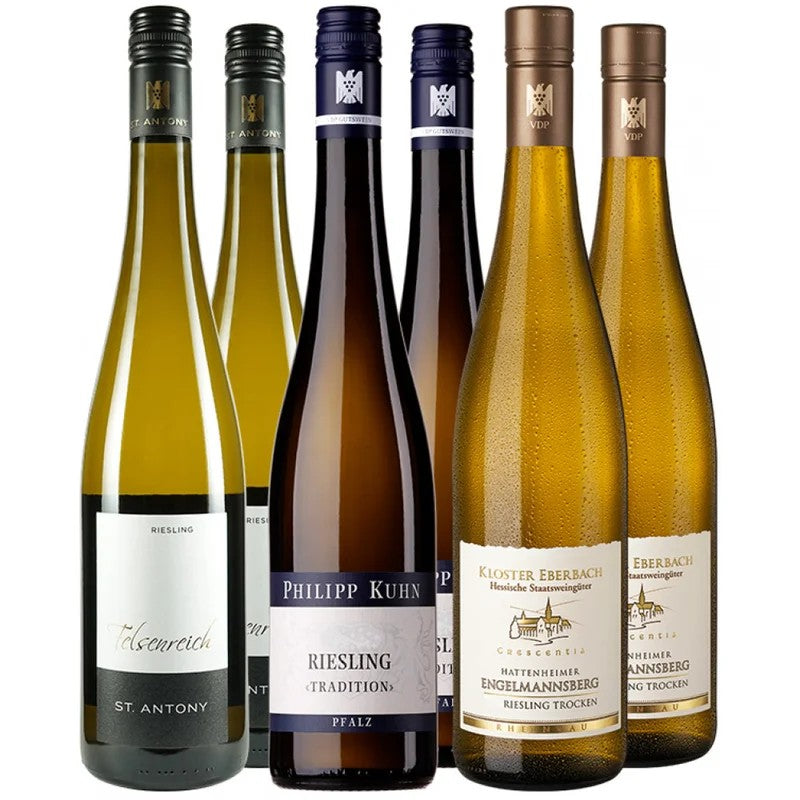VDPRieslingPremiumPakettrocken6ausgewählteWeine