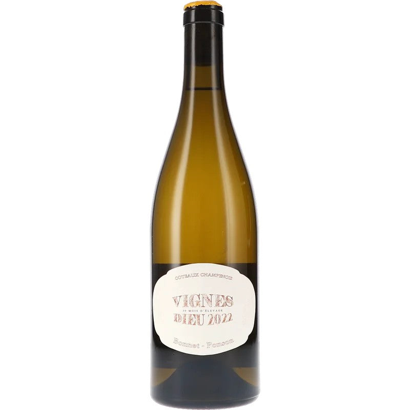 VignesDieuBlanc2022Bonnet-Ponson|LebendigeWeine