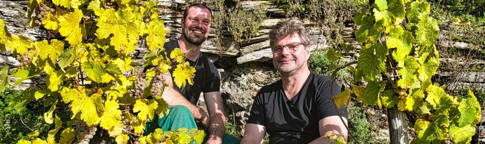 WeingutImmich-BatteriebergMosel–PRObioWEIN